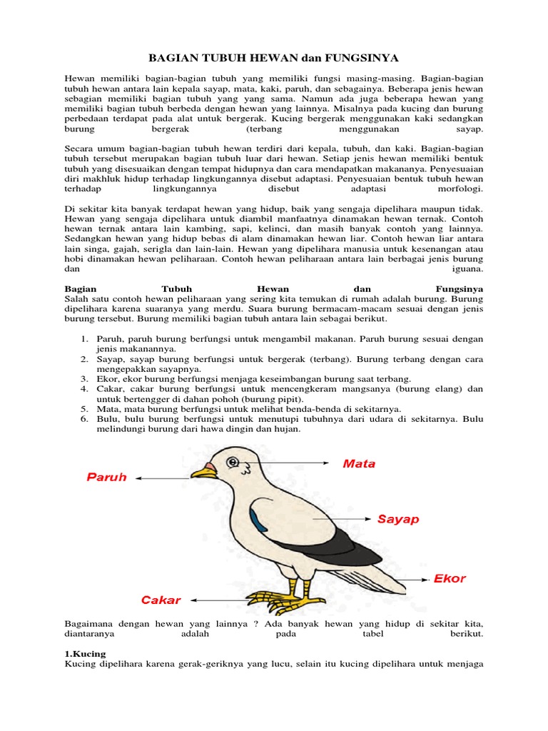  Bagian Tubuh Hewan Dan Fungsinya 