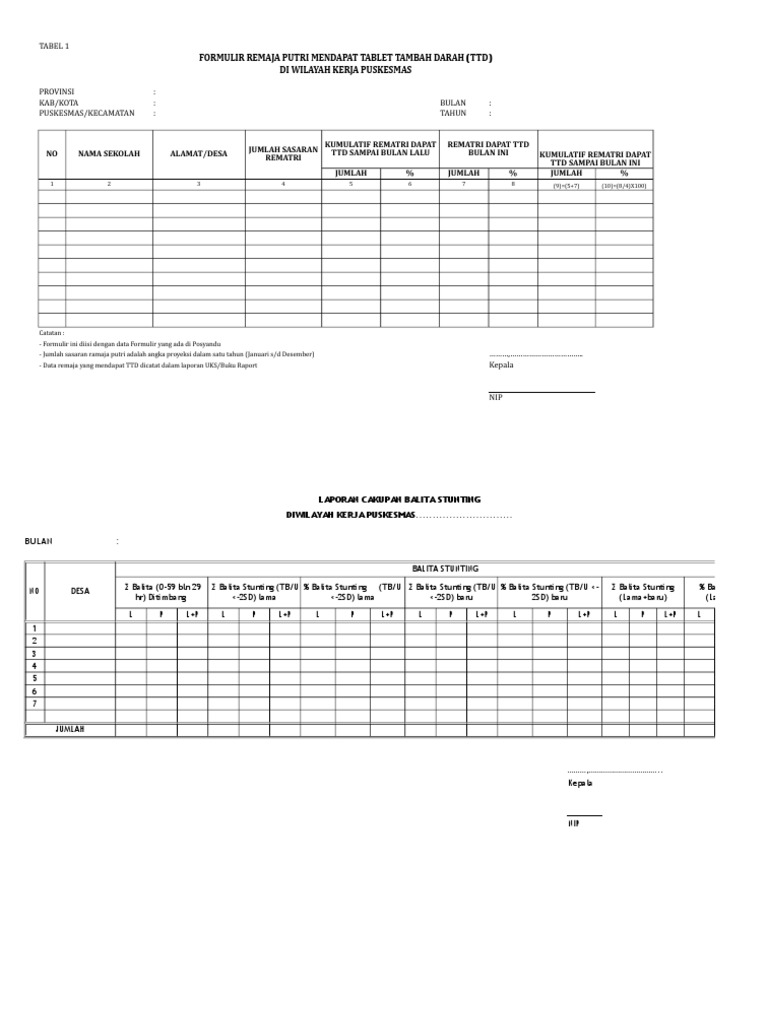 BLANKO BARU STUNTING &amp; TTD Rematri.xlsx