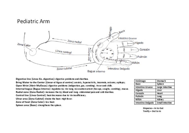 Pediatric Arm | PDF
