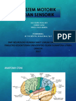 Sistem Motorik dan Sensorik: Anatomi, Fisiologi, dan Sindrom Pemotongan Jaras