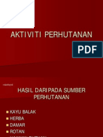 Aktiviti Perhutanan