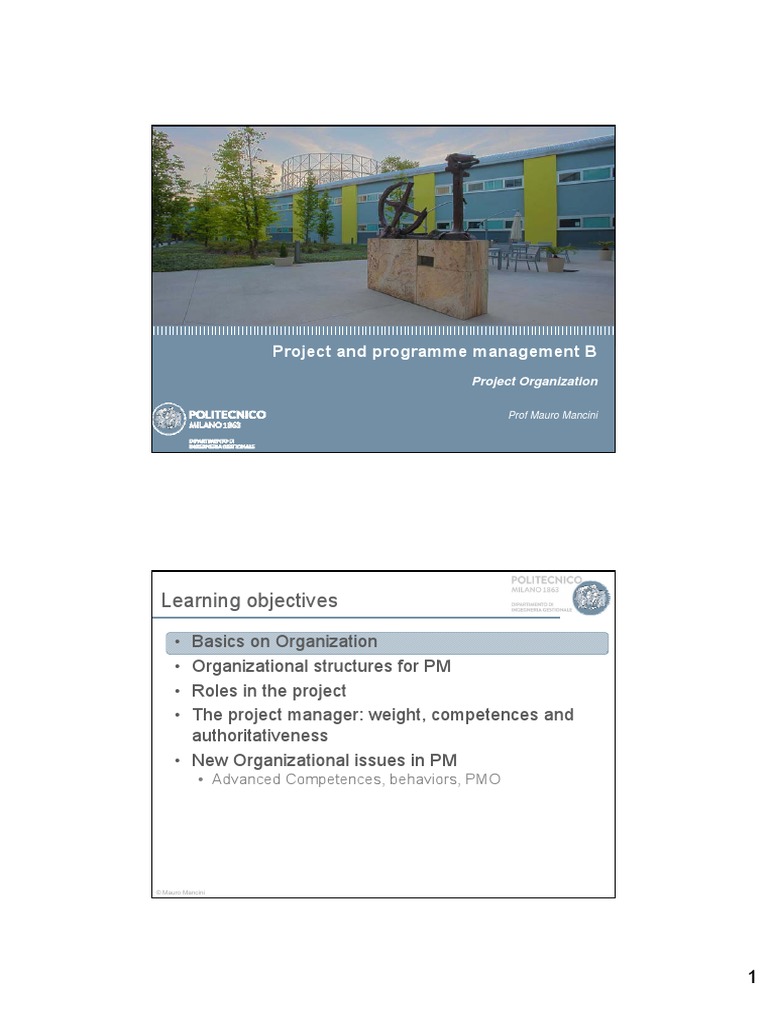 04 PPMB - Project Organization | PDF | Project Management | Business ...
