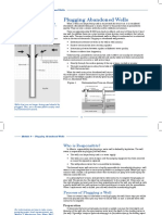 Module 9 - Plugging Abandoned Wells