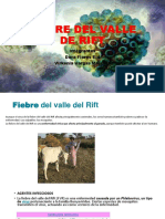 Fiebre Del Valle de Rift