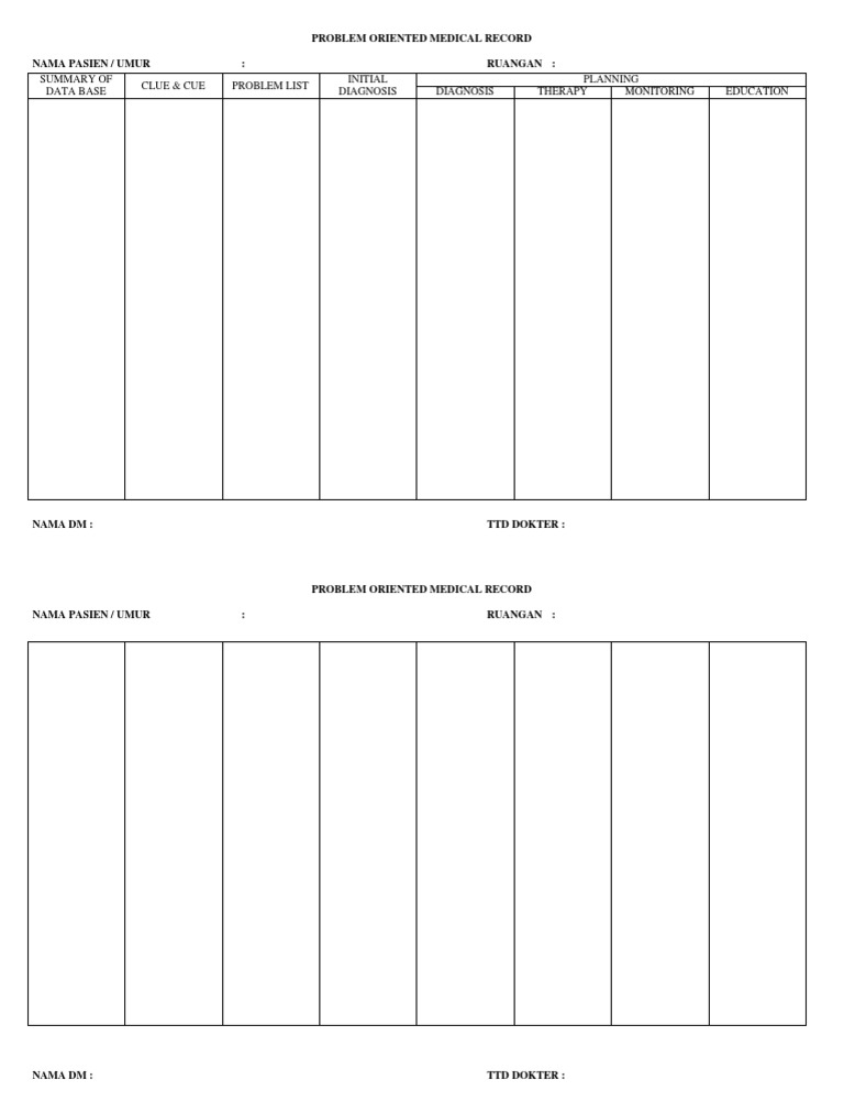 Summary of Data Base Clue & Cue Problem List Initial Diagnosis Planning ...