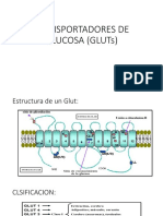 Transportadores de Glucosa