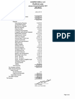 Finan Stment 2017 PDF