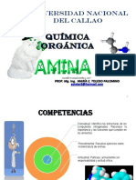 Compuestos nitrogenados: aminas y sus propiedades