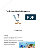 13._Optimizacion_de_Proyectos.pptx