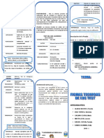 Triptico de Fichas Tecnicas