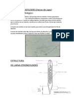 Larvas Estrongyloides y Huevos de Uncinarias - Docx SALOMON