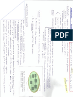 Fotosíntesis. Resúmen PDF