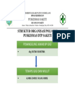 Dinas Kesehatan Kabupaten Pandeglang - Struktur Organisasi Poli Gigi Puskesmas DTP Saketi