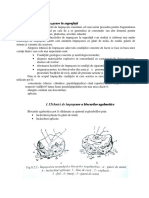 Tehnici de impuscare.pdf