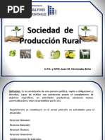 Sociedades de Producción Rural en México | PDF | Sociedad | Economias