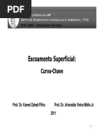 Curva Chave 2011 P&B