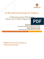 hidrometalugiacodelco.pdf