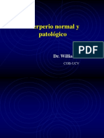 Mesa Redonda 04 - Puerperio Normal y Patológico A