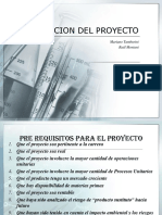 seleccion-proyecto