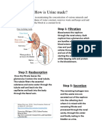 Technical Description