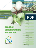 Algodón GM.pdf