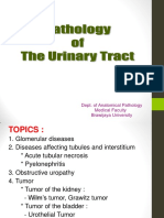 Pathology of The Urinary Tract - 2017 PDF