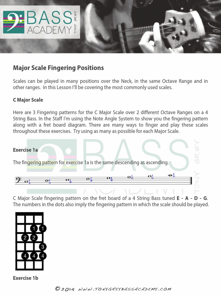 3 2 2+Major+Scale+Fingering+Positions PDF Scale (Music) Bass Guitar
