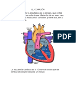 El corazón (CULTURA FISICA).docx