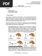 AD2-2 Modelos E-T, Conductual, Cognitivo-Conductual, Cognitivo-Perceptual