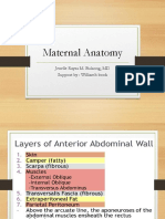 Maternal Anatomy Williams