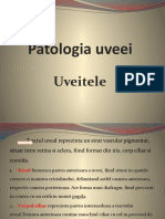 Patologia Uveei