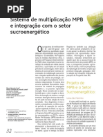 OAgronomico Edicao 64 66 Informacoes Tecnicas Artigo 1 Sistema de Multiplicação MPB