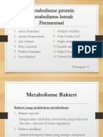 Metabolisme Protein Kel.10