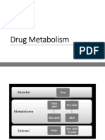 Drugs Metabolism Excretion