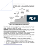 Economie mondiala.doc