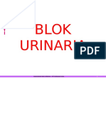 1.Rangkuman Blok Urin.docx