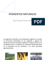1 - PIGMENTOS NATURALES.ppt