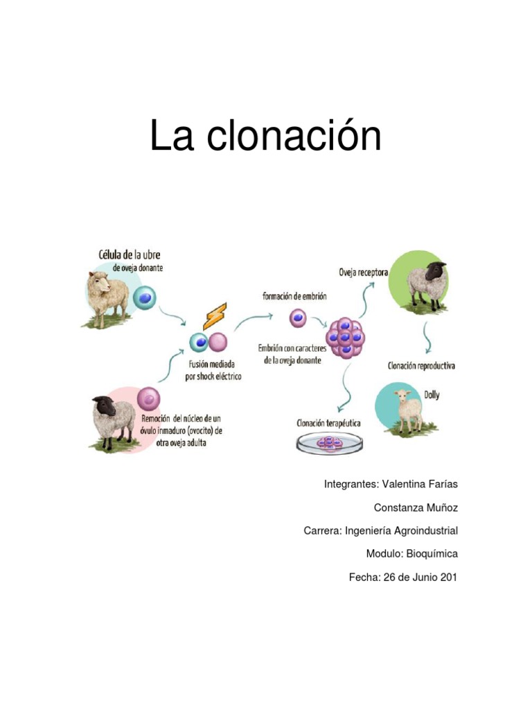 La Clonación PDF Clonación Reproducción