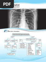 Chapter 1 Respiration