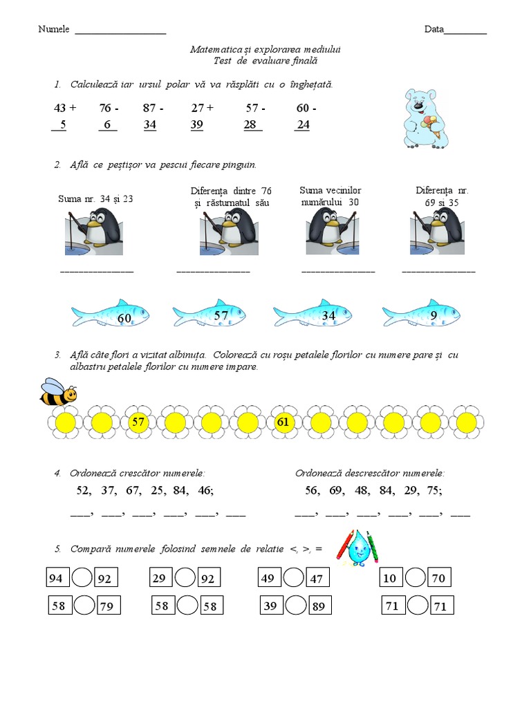 Test Final Matematica | PDF