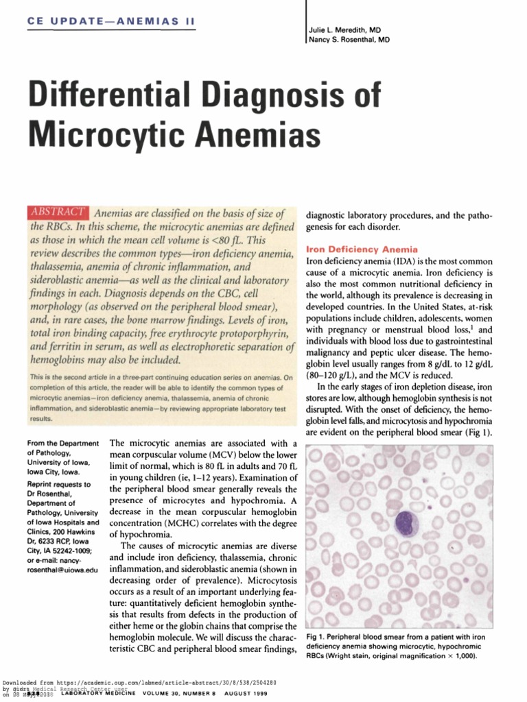 Differential diagnosis of microcytic anemia.pdf Anemia Red Blood Cell