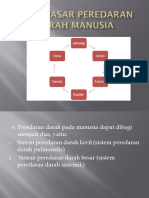 Peredaran Darah Manusia