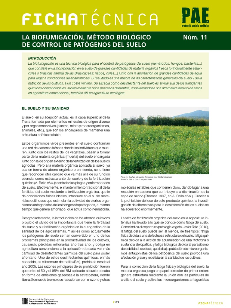 Fichapae11 Biofumigacion PDF | PDF | Suelo | Agricultura
