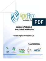 EER-Ica-Fernando-Koechlin Agropisco PDF