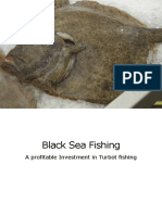 Black Sea Turbot Fishing