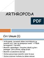 ARTHROPODA