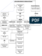 Mapa Conceptual.