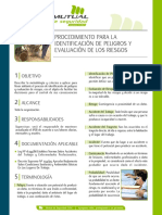 procedimiento+para+la+IPER.pdf