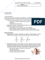 funciones motoras del encefalo.pdf