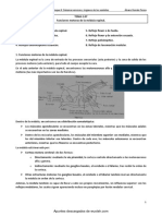 Función motora médula espinal